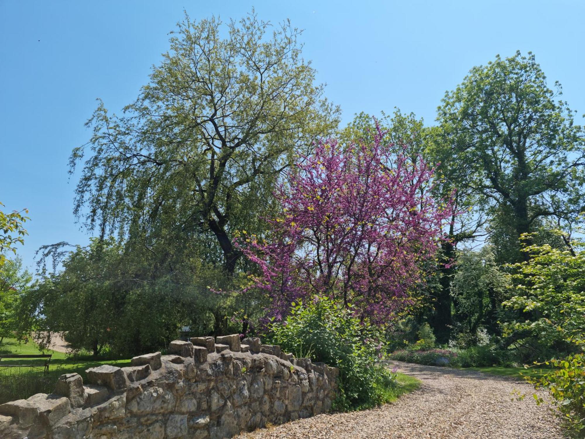 מלון קאוברידג' Glyndwr Vineyard מראה חיצוני תמונה